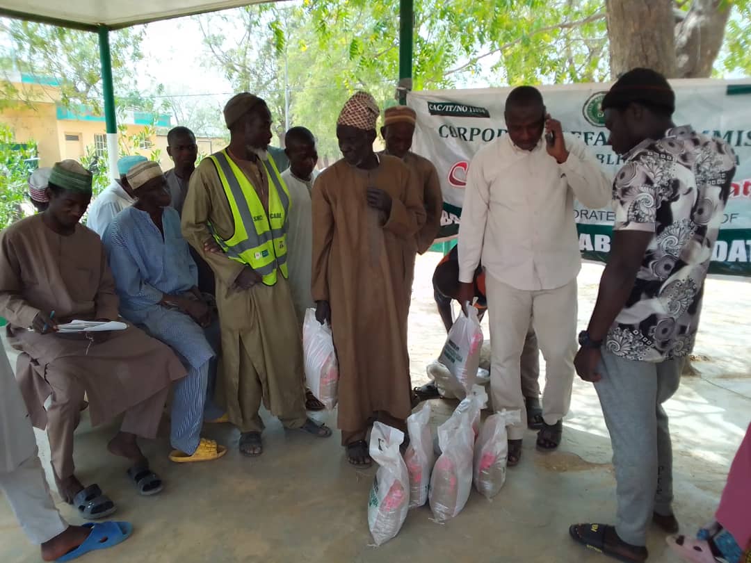 Foundation Activity 3